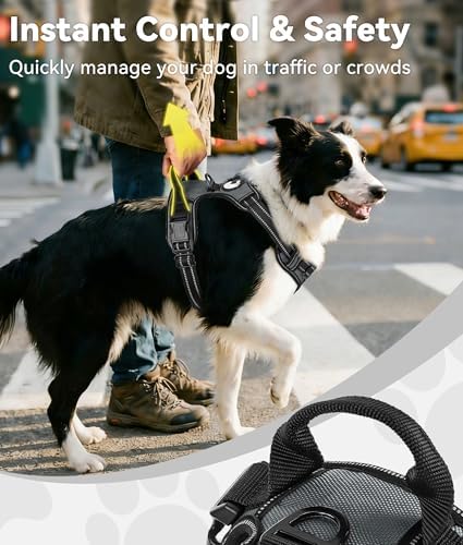 Joytale No Pull Dog Harness for Small Dogs, Front Clip - Image 3