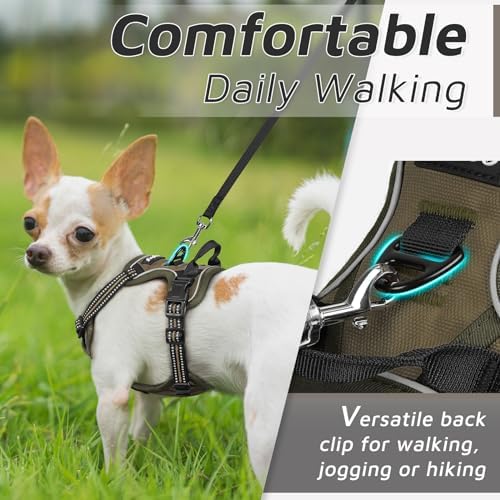 Eagloo Dog Harness for Small Dogs, No Pull Pet Vest - Image 4