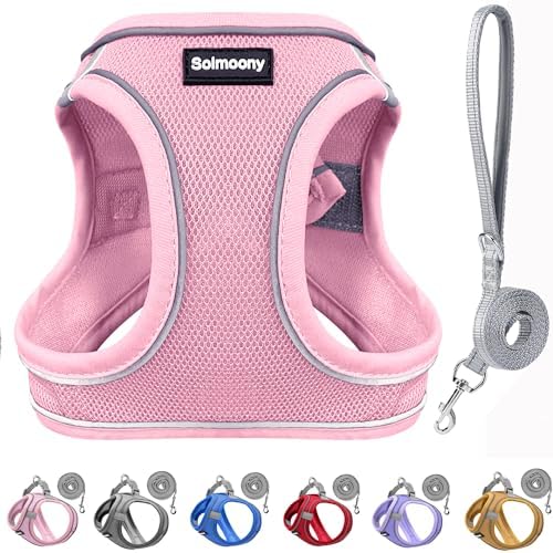 Solmoony Sparkly XXXS Dog Harness and Leash Set, Step in Soft Light Puppy Vest by SOLMOONY