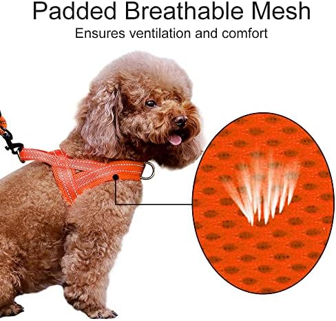 Plutus Pet No Pull Dog Harness for Small Dogs, Breathable Mesh Padded - Image 3
