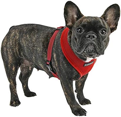 Puppia Soft Dog Harness - Image 4