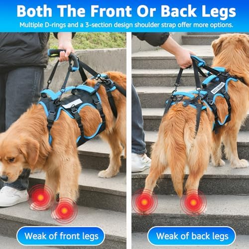 Dog Lift Harness for Large Male Dogs, 2-in-1 Detachable Support Harness - Image 2
