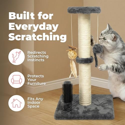Best Pet Supplies Catify Cat Scratching Post - Image 2