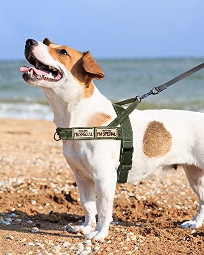 No Pull Dog Harness for Small Medium Large Sized Dogs, Escape Proof Adjustable - Image 6