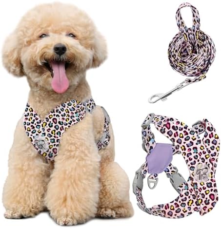 Pawaboo Small Dog Harness and Leash Set, Puppy Harness X-Frame Adjustable by Pawaboo