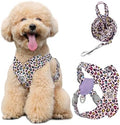Pawaboo Small Dog Harness and Leash Set, Puppy Harness X-Frame Adjustable by Pawaboo