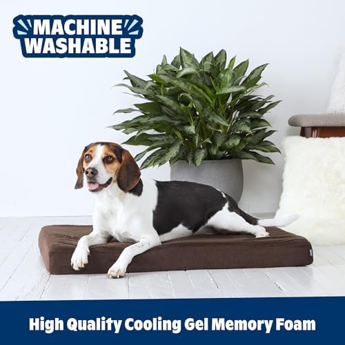 BarkBox Orthopedic Dog Bed - Image 5