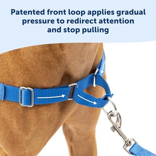 PetSafe Easy Walk Harness, No Pull Dog Harness, Royal Blue - Image 3