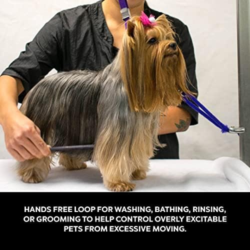 Groomers Helper® 3/8" Professional Loop - Image 3