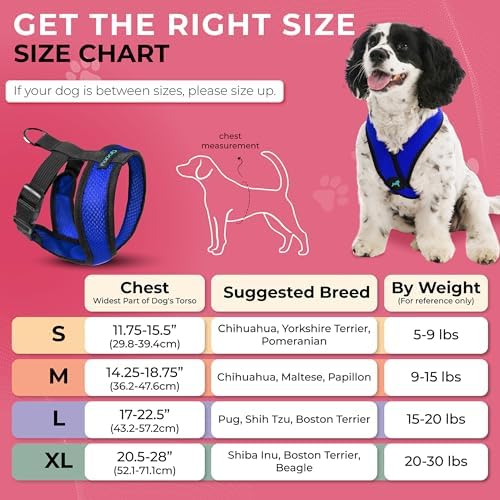 Gooby Comfort X Head-in Dog Harness, Choke-Free - Image 4