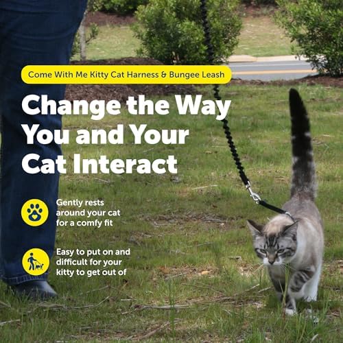 PetSafe Come With Me Kitty Harness and Bungee Leash, Harness - Image 4