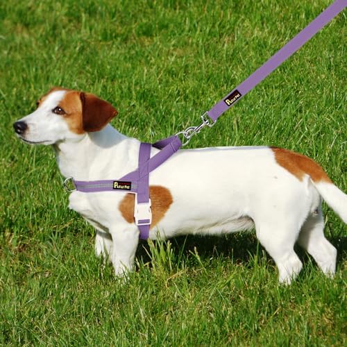 Plutus Pet Cotton Dog Harness and Leash Set, Reflective and Soft Padded - Image 6