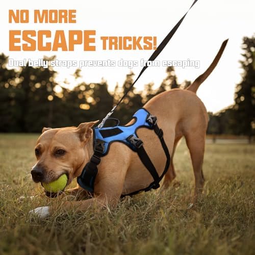 AUROTH Escape Proof No Pull Dog Harness - Image 3