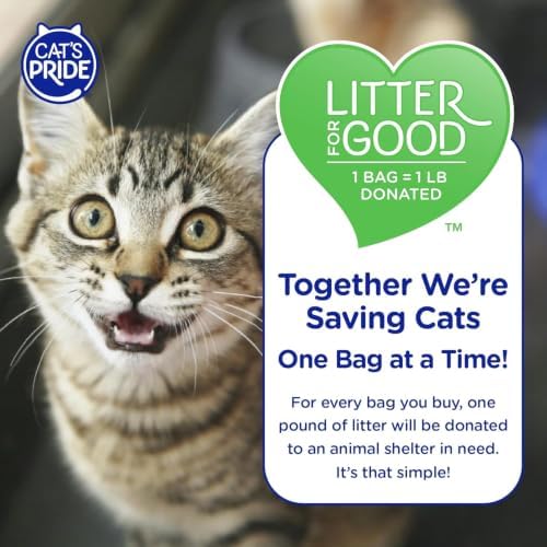 Cat's Pride Antibacterial Litter, Odor-Eliminating Scented 18lb - Image 6