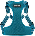 Voyager Step-in Flex Adjustable Dog Harness by BestPetSuppliesLLC