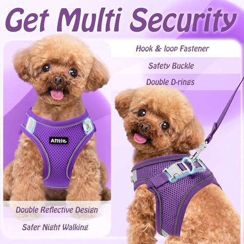 AIITLE Dog Harness and Leash Set, Step-in Puppy Pet Vest, Pure Purple XL - Image 5