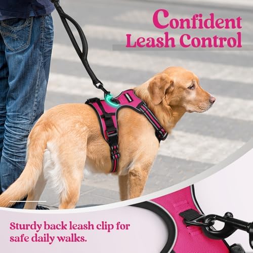 rabbitgoo Dog Harness, No Pull for Small Dogs - Image 6