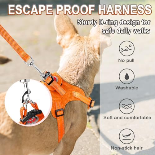 BARKBAY Small Dog Harness, No Pull Puppy Harness, Step-in Dog Vest - Image 4