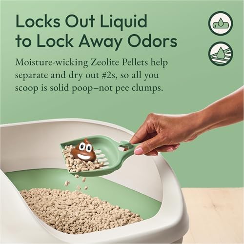 Purina Tidy Cats Litter Pellets, Breeze Refill Litter Pellets in Recyclable Box - Image 6