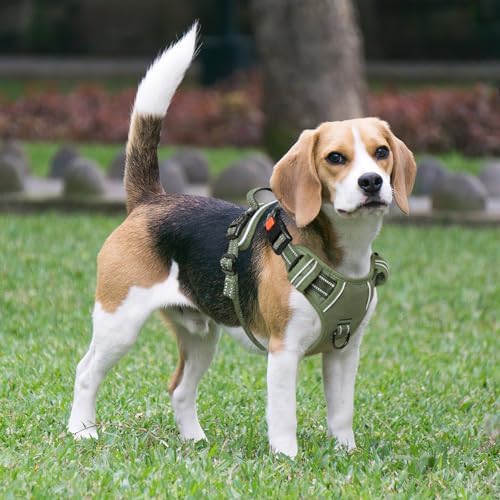 Timos Dog Harness Small Sized, Neck Quick Release - Image 5