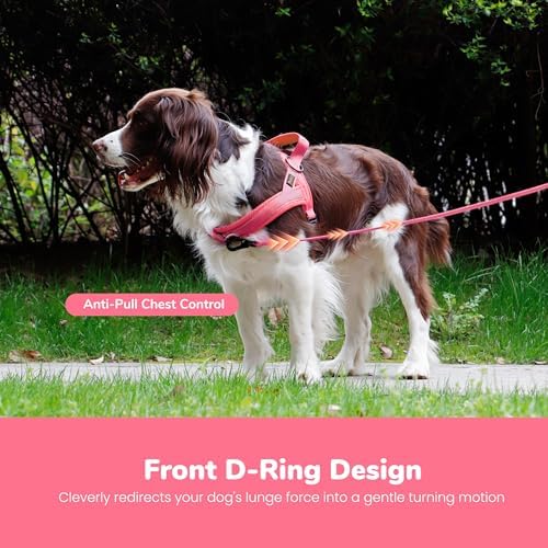 Didog No Pull Dog Harness for Small Dogs, Breathable Mesh Padded - Image 5