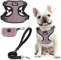 PUPTECK Dog Harness and Leash Set Small Sized, Step in No Pull Adjustable Puppy by PUPTECK