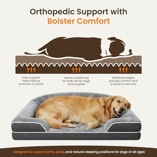 Orthopedic Dog Bed for Giant&Multiple Dogs, 53x42 XXXL Extra Large Dog Bed - Image 3