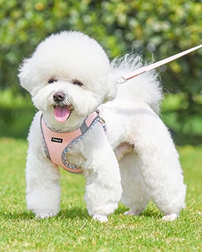 Petank Step in Dog Harness No Pull and Leash - Image 2