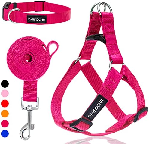 No Pull Dog Harness, Leash & Collar Set, Adjustable Step-in Vest by IPRAVOCI
