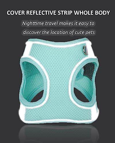 SOLMOONY Dog Harness for Small Medium Dogs No Pull, Puppy and Leash Set - Image 4