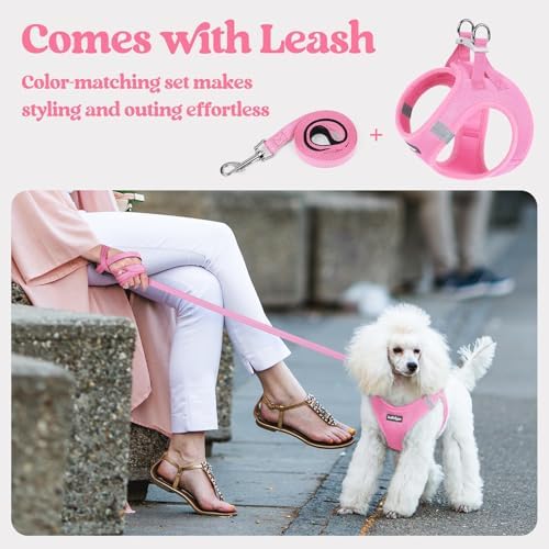 rabbitgoo Dog Harness Small Sized and Leash Set, Step-in Puppy Pet Vest - Image 5