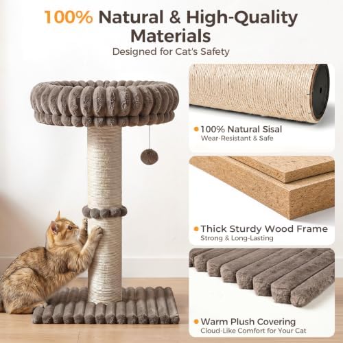Avont Modern Cloud Cat Scratching Post - Image 4