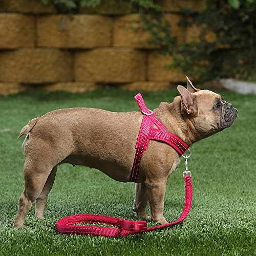 Plutus Pet No Pull Dog Harness for Medium Sized Dog, Breathable Mesh Padded - Image 5
