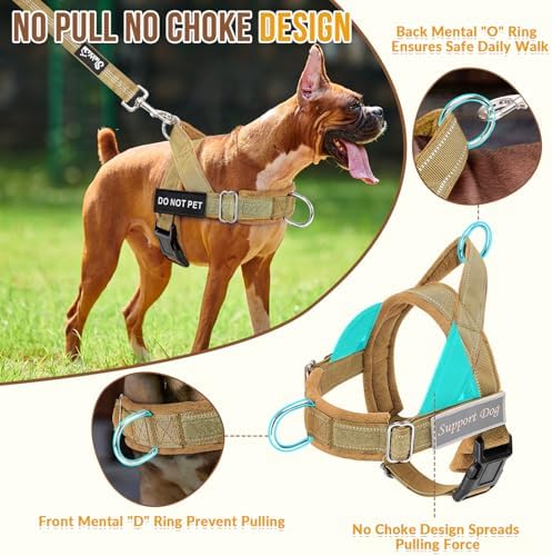 SlowTon No Pull Dog Harness and Leash Set - Image 2