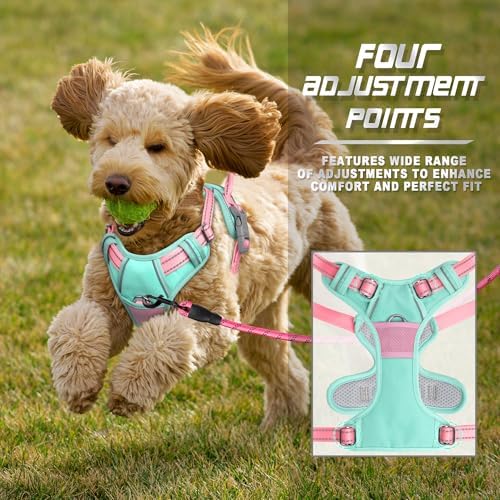 BARKBAY Dog Harness No Pull for Small Sized Dog Front Back Clips, Dog Vest - Image 6