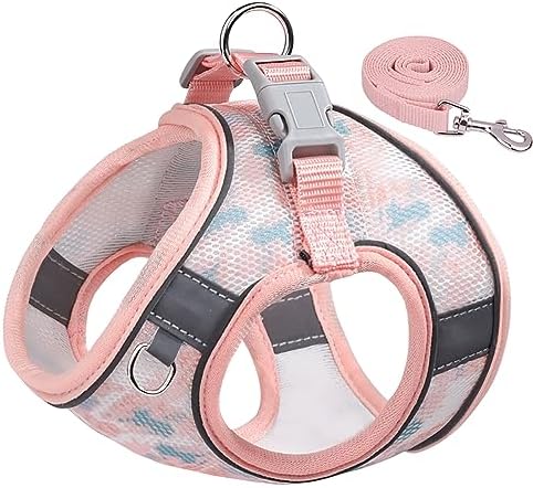 Step in Mesh Dog Harness and Leash Set - Image 2