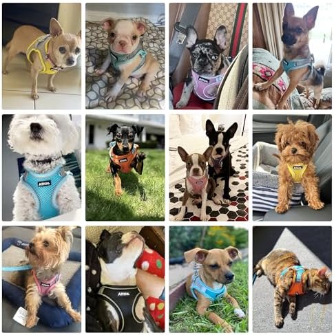 AIITLE Small Dog Harness and Leash Set, Step-in Puppy Pet Vest - Image 2