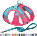 AIITLE Dog Harness and Leash Set, Step-in Puppy Pet Vest, Hot Pink XXXS by AIITLE-FORPETSBETTERLIFE