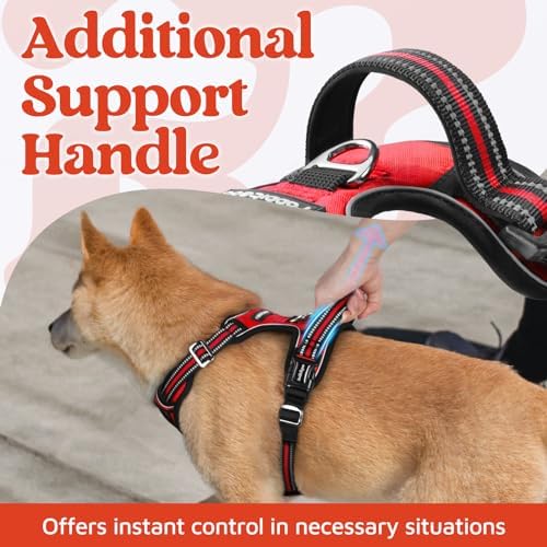 rabbitgoo Dog Harness Small Sized, No Pull 3 Buckles Easy On & Off - Image 4