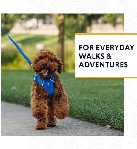 Ruffwear, Front Range Dog Leash, 5 ft Lead, Basalt Gray - Image 2