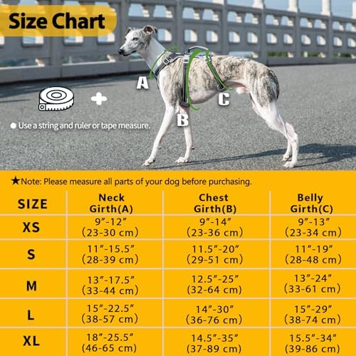Huntboo Escape Proof Dog Harness, No Pull Reflective Harness - Image 6