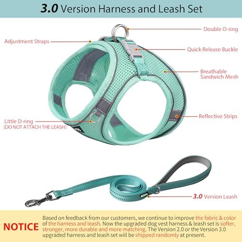AIITLE Dog Harness and Leash Set, Step-in Puppy Pet Vest, Pure Turquoise M - Image 2