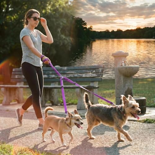 Double Leash for Two Dogs, No Tangle Bungee Dog Leash - Image 2