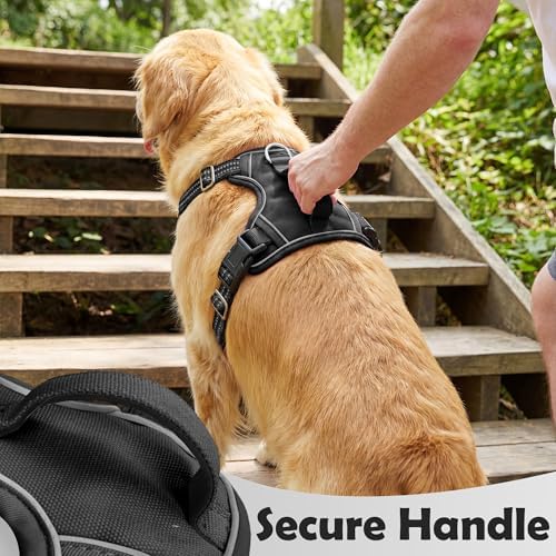 Funfox Dog Harness Medium Sized Dog, Vertical Handle Easy Control, No Pull Pet - Image 4
