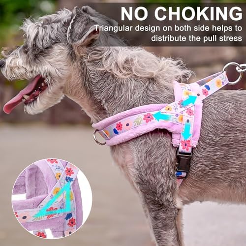 BEAUTYZOO No Pull Small Dog Harness and Leash Set, Soft Puppy Vest Harness - Image 2