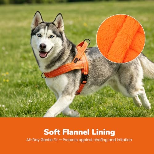 Didog No Pull Dog Harness for Medium Dogs, Soft Flannel Padded - Image 2