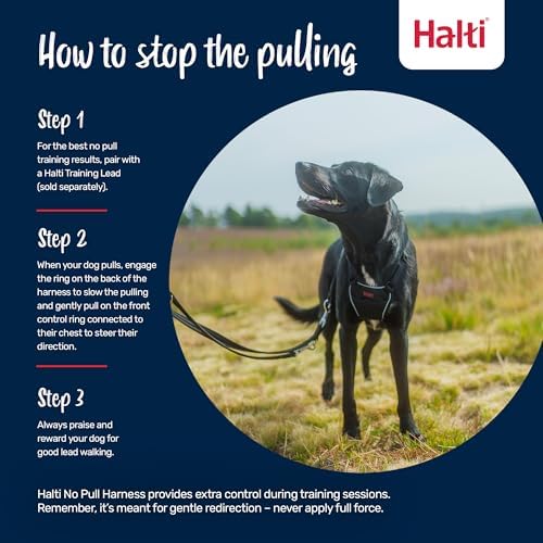 Halti No Pull Dog Harness | Size S, Forest Green - Image 4