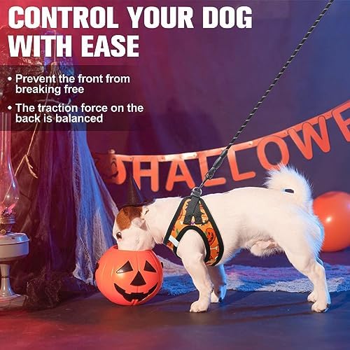BEAUTYZOO Halloween Dog Harness Medium Sized and Leash Set, No Pull Pet Vest - Image 6