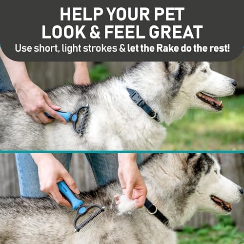 Maxpower Planet Pet Grooming Brush and 2X Grooming Gloves Combo - Image 4