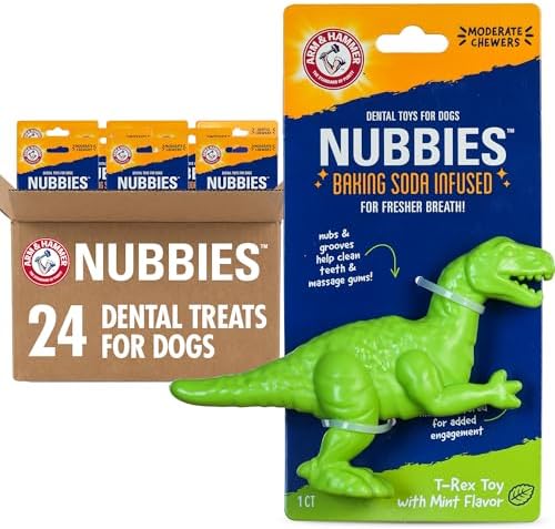 Arm & Hammer Nubbies T-Rex Dog Dental Chew Toy, Mint Flavor by ArmHammer